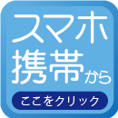 201604WEB限定スペシャルセール　ボタン2