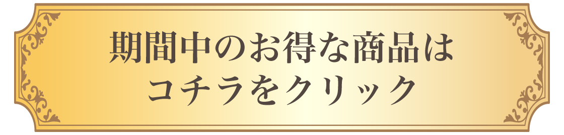 チラシはこちら